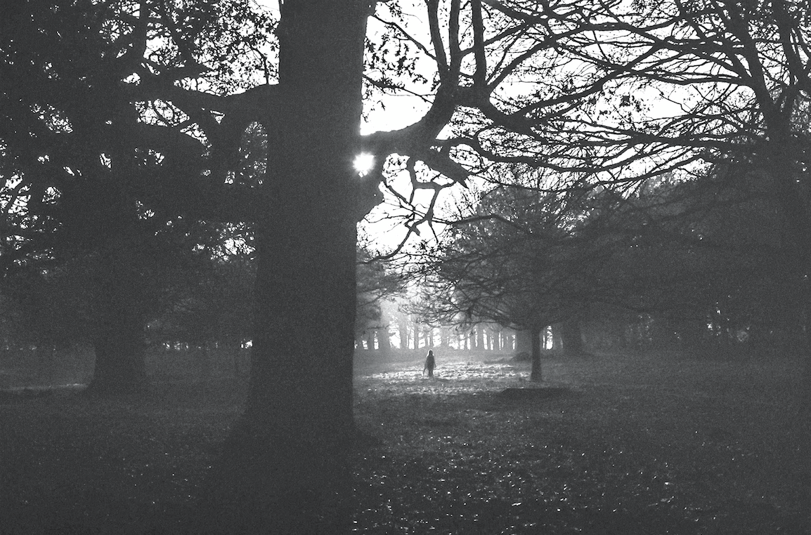 enter image title here Canary by Paris Ackrill