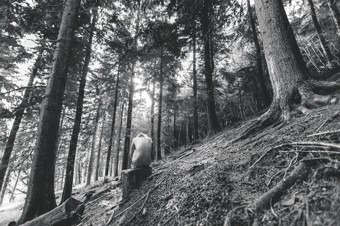 enter image title here Pieces by Serena Bolton