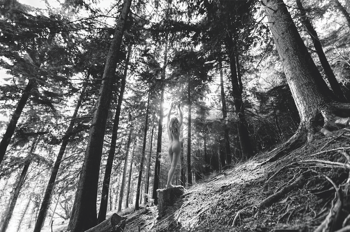 enter image title here She Rises Up by Serena Bolton