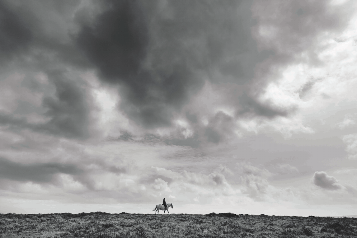 enter image title here The Horse by Serena Bolton